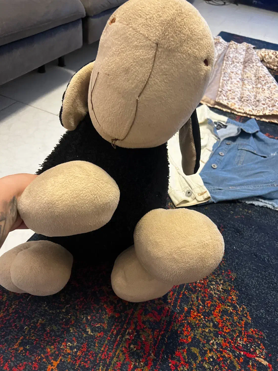 یک عدد عروسک خارجی سایز متوسط|اسباب‌‌بازی|بابلسر, |دیوار