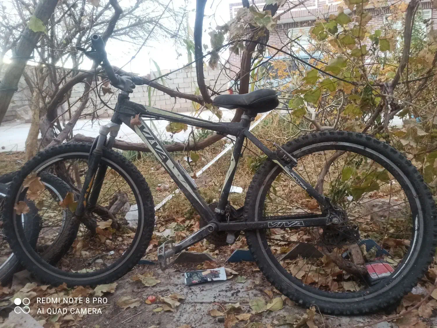 دوچرخه ویوا زیرخاکی|دوچرخه، اسکیت، اسکوتر|رفسنجان, |دیوار