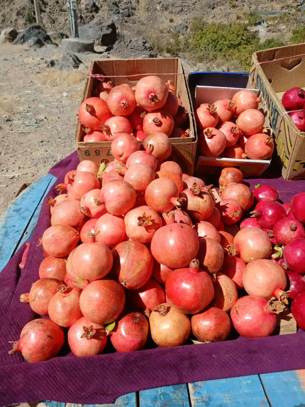 انار کوهستان شیرین وتازه|خوردنی و آشامیدنی|کوهسرخ, |دیوار