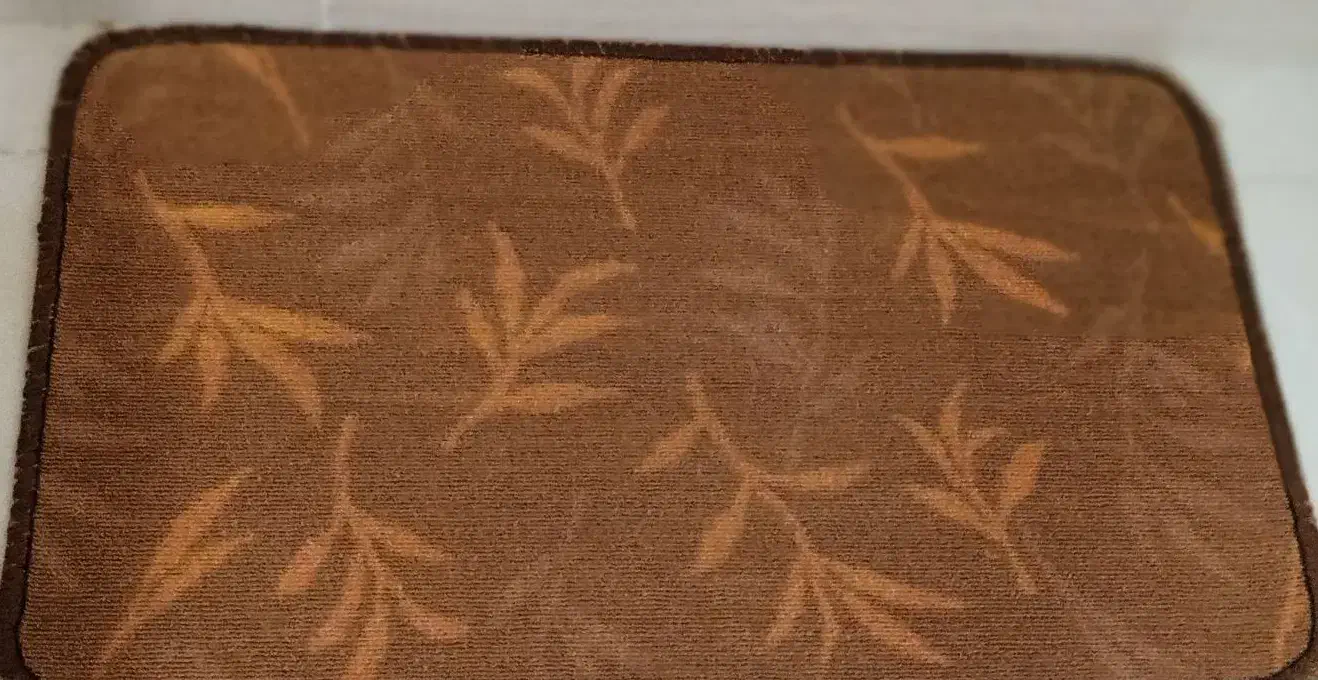 یک جفت پادری|پادری|شاهین‌شهر, شهرک گلدیس|دیوار