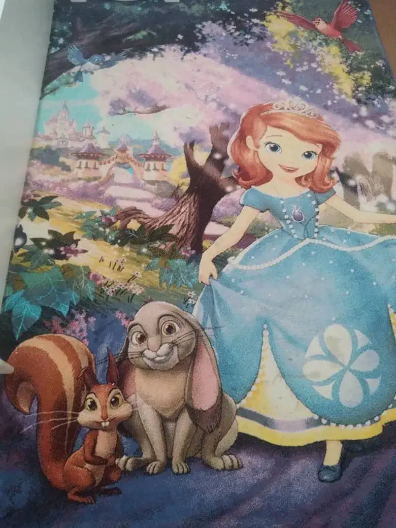 فرش فانتزی|فرش|گرگان, |دیوار