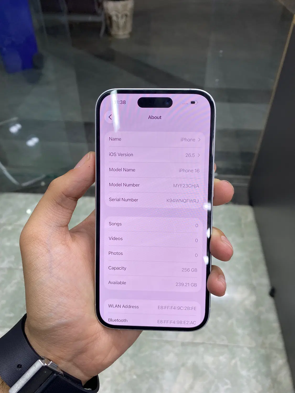 IPHONE 17 Normal 256|موبایل|شیراز, زند|دیوار