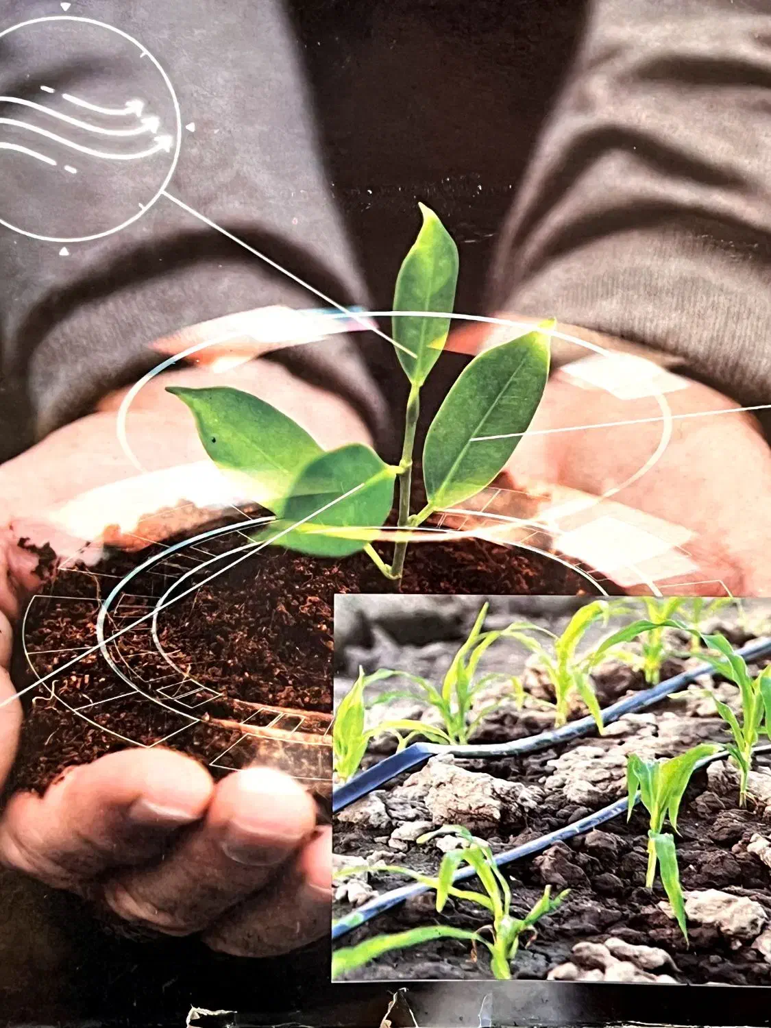 نوارتیپ سبزآب|خدمات باغبانی و درختکاری|اصفهان, بهارستان|دیوار