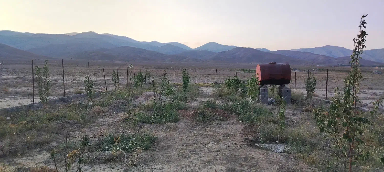 فروش باغ|فروش زمین و ملک کلنگی|شهمیرزاد, |دیوار