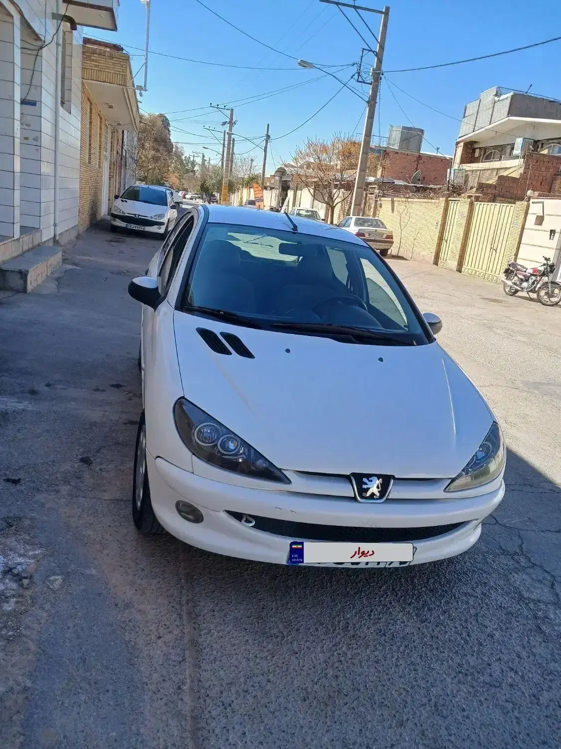 پژو۲۰۶|خودرو سواری و وانت|کرمان, |دیوار