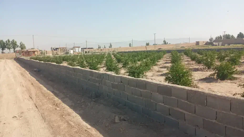 زمین ۲۵۰ متری آماده ساخت با تمام امکانات|فروش زمین و ملک کلنگی|قرچک, پویینک|دیوار