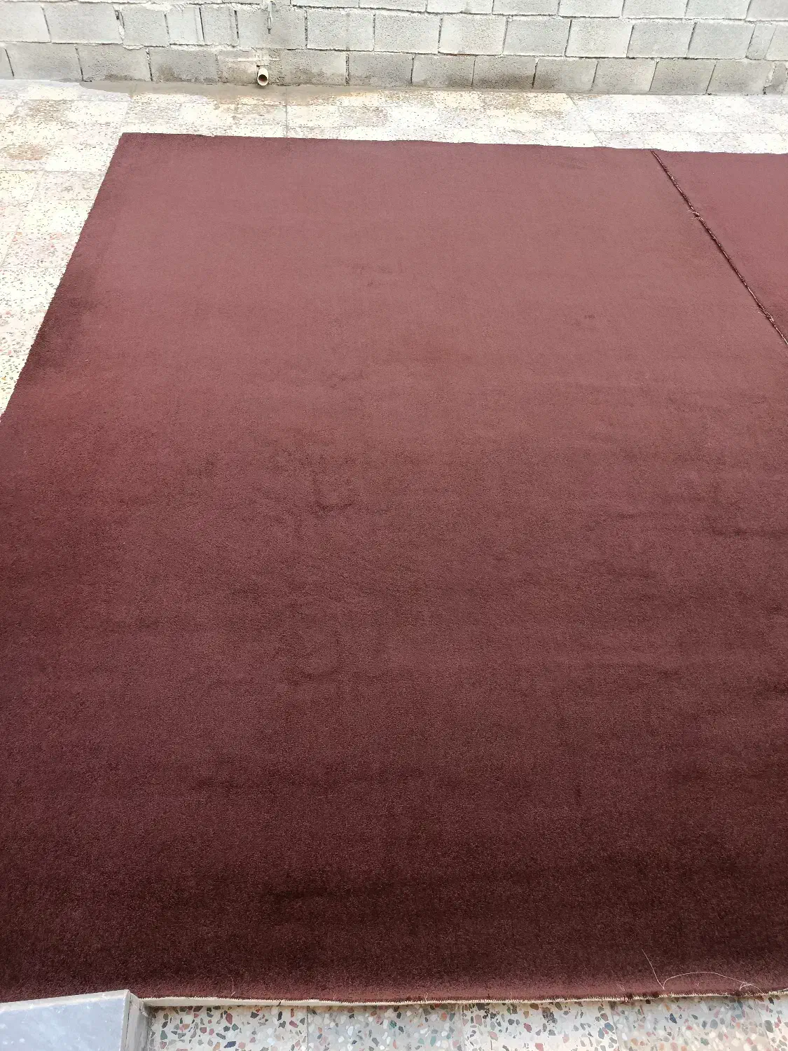 پالاز موکت|موکت|دهدشت, |دیوار