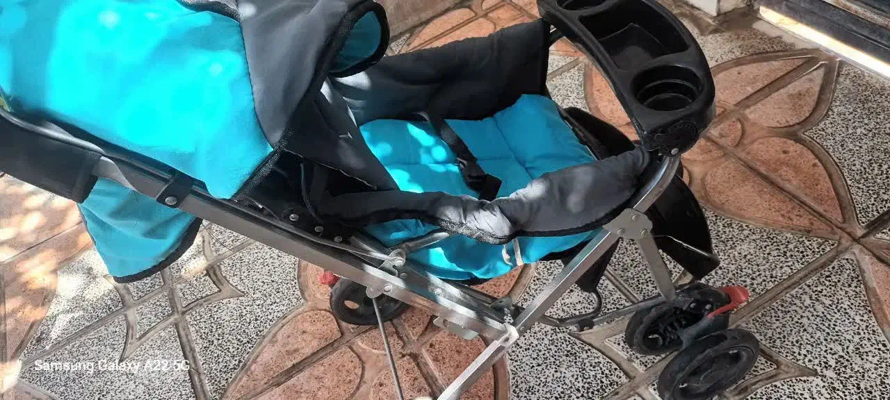 کالسکه|کالسکه و لوازم جانبی|باغستان, |دیوار