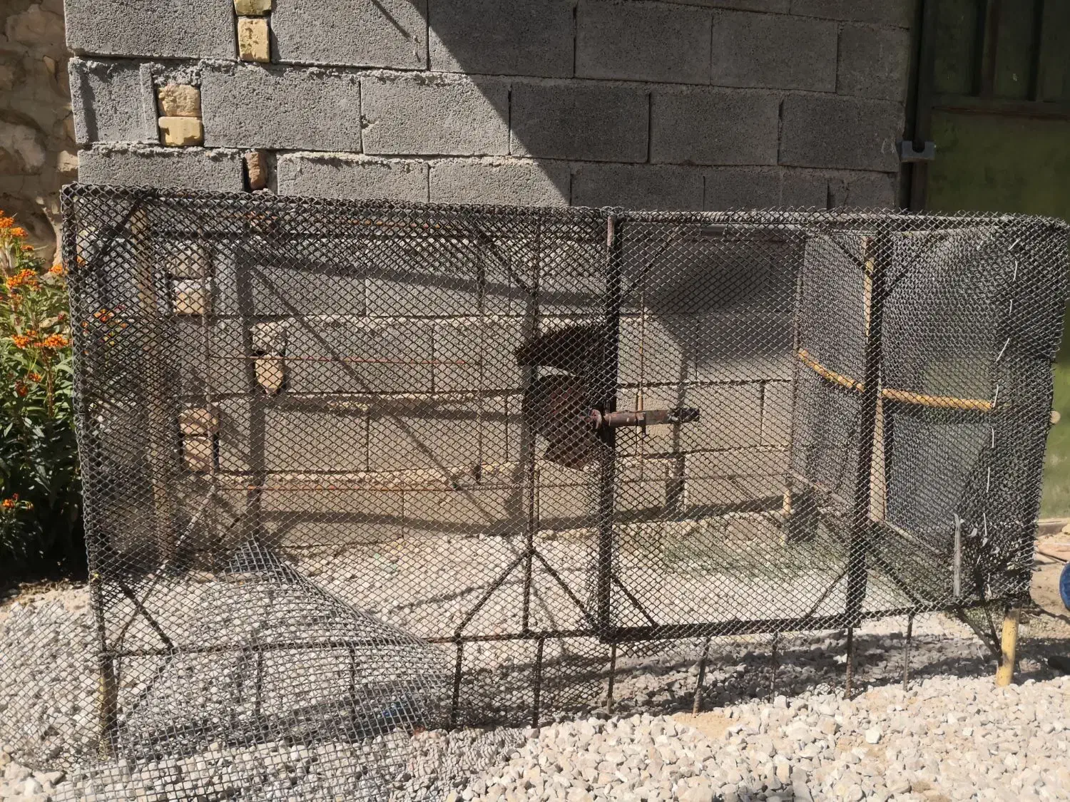 فقس پرنده و گربه، سگ، مرغ، بوقلمون، تاوس|لوازم جانبی حیوانات|فیروزآباد (فارس), |دیوار