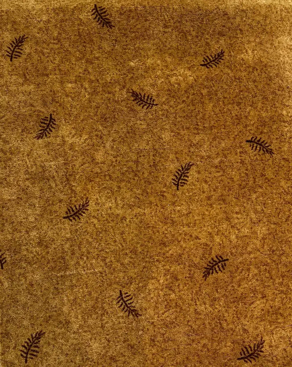 موکت پالاز|موکت|رامهرمز, |دیوار