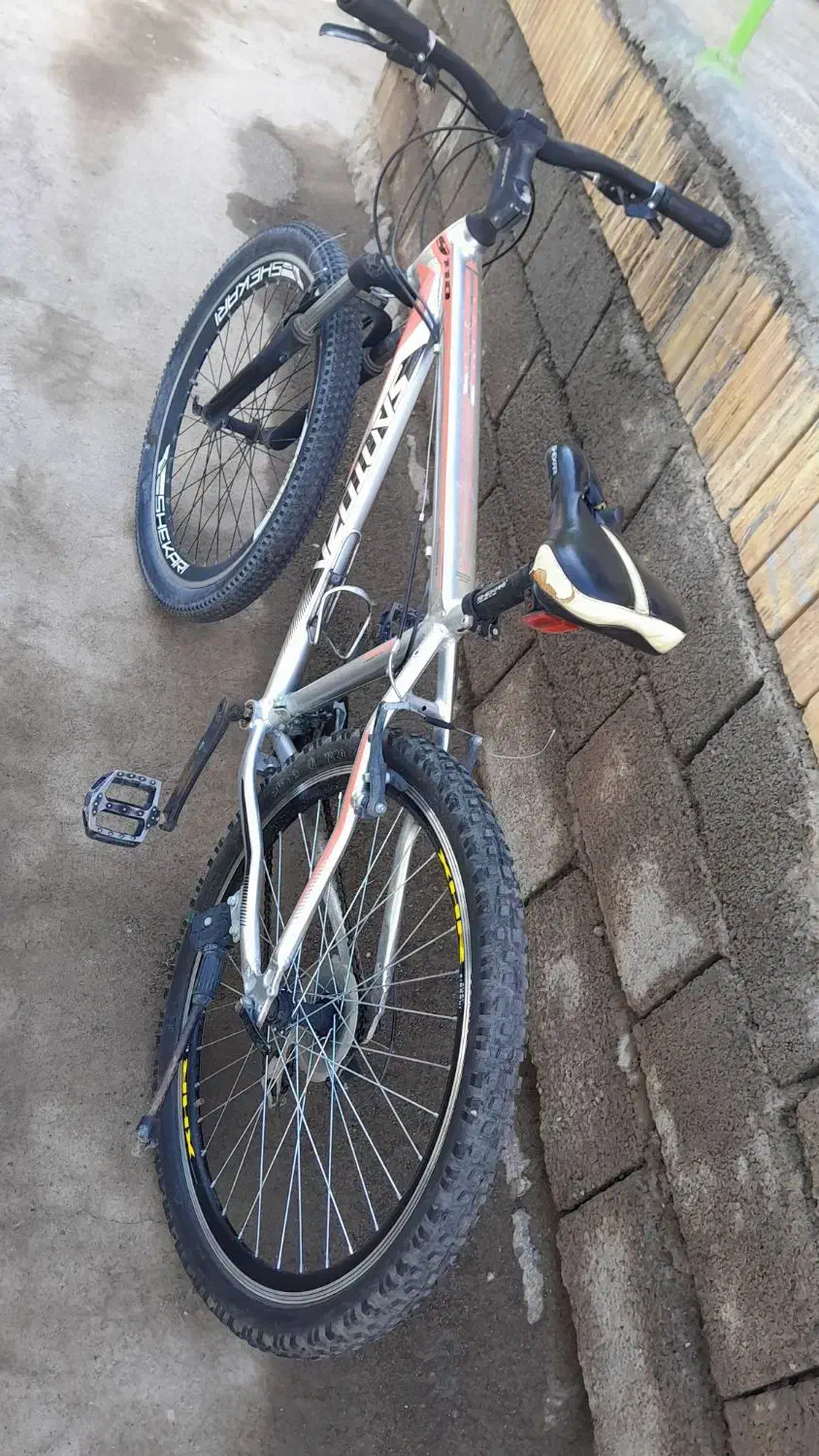 دوچرخه|دوچرخه، اسکیت، اسکوتر|ارشق, |دیوار