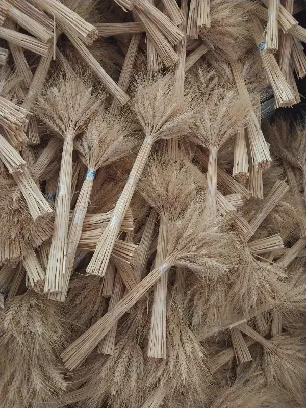 خوشه گندم|گل و گیاه طبیعی|فردیس, نگارستان|دیوار