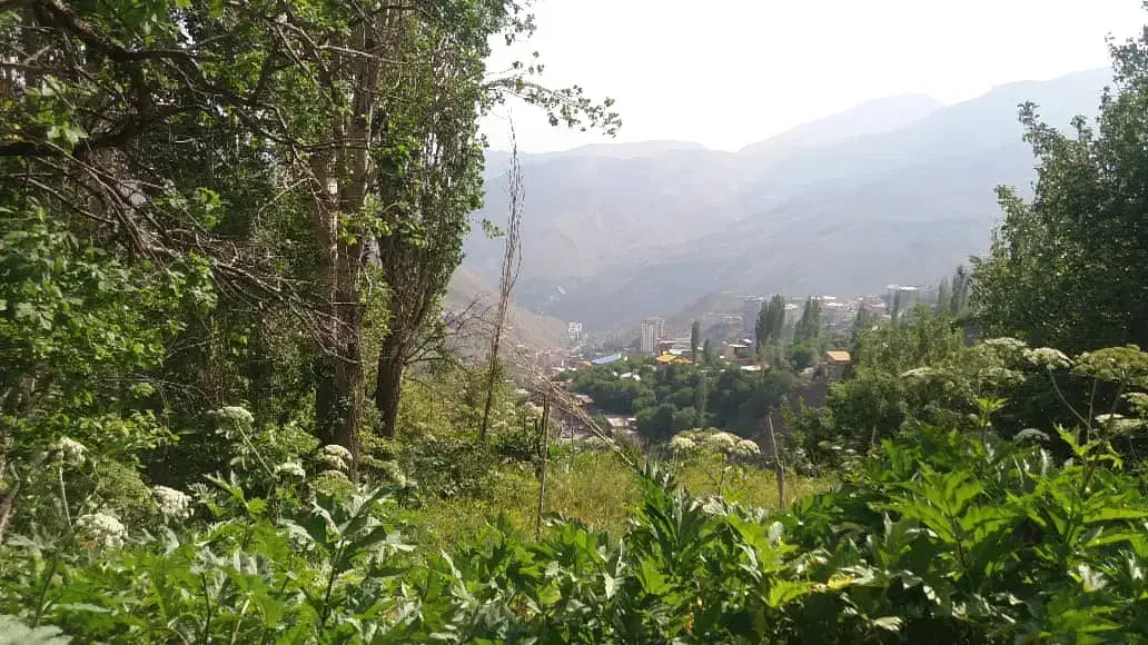 نیاز به شغل|فعالیت داوطلبانه|فومن, |دیوار