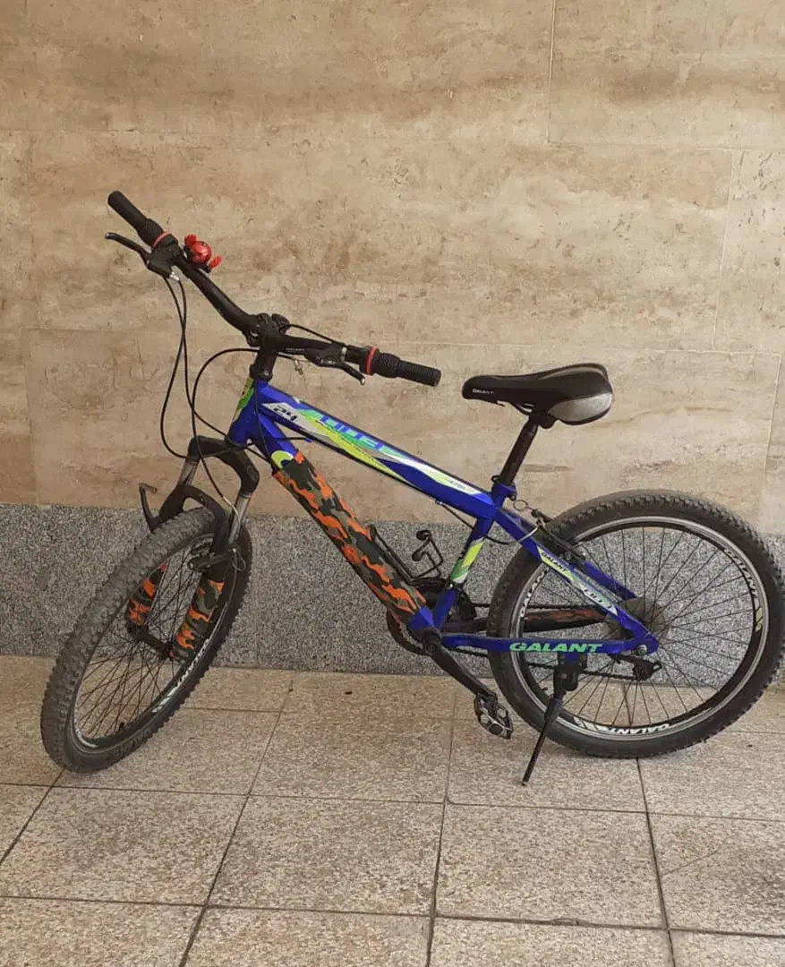 دوچرخه گالانت ۲۴|دوچرخه، اسکیت، اسکوتر|اندیشه, اندیشه فاز ۱|دیوار