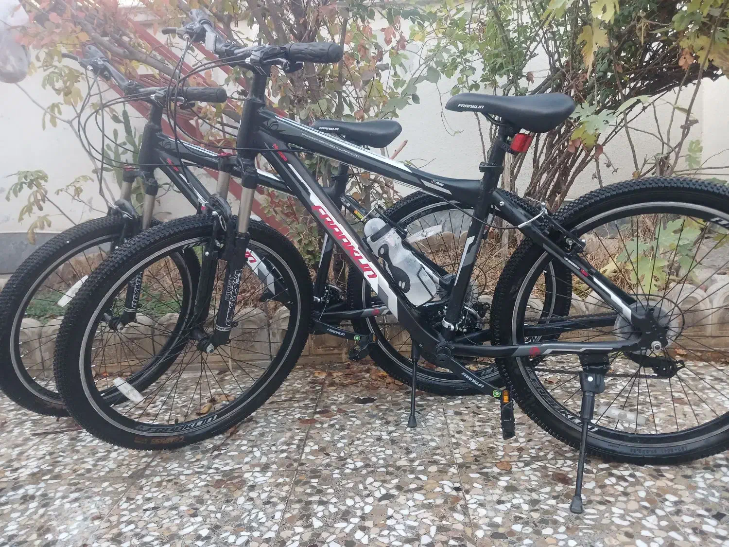 معاوضه با گوسفند سالم|دوچرخه، اسکیت، اسکوتر|مینودشت, |دیوار