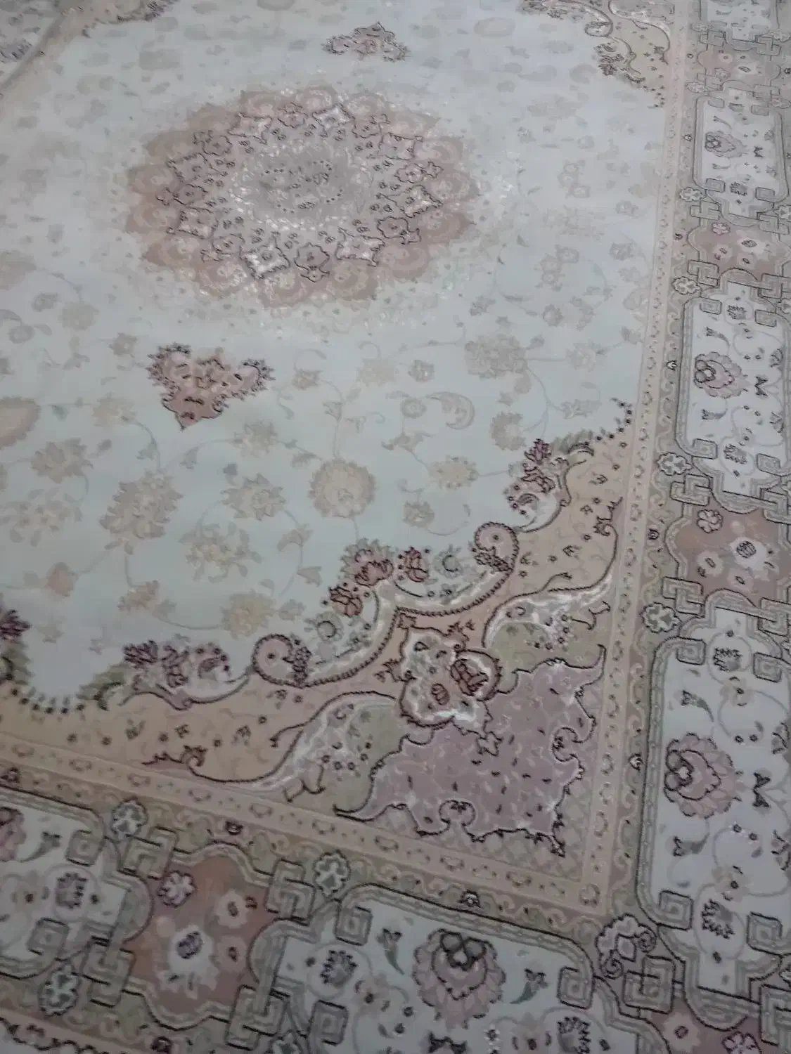 جفت فرش کرم ضخیم|فرش|ارومیه, |دیوار