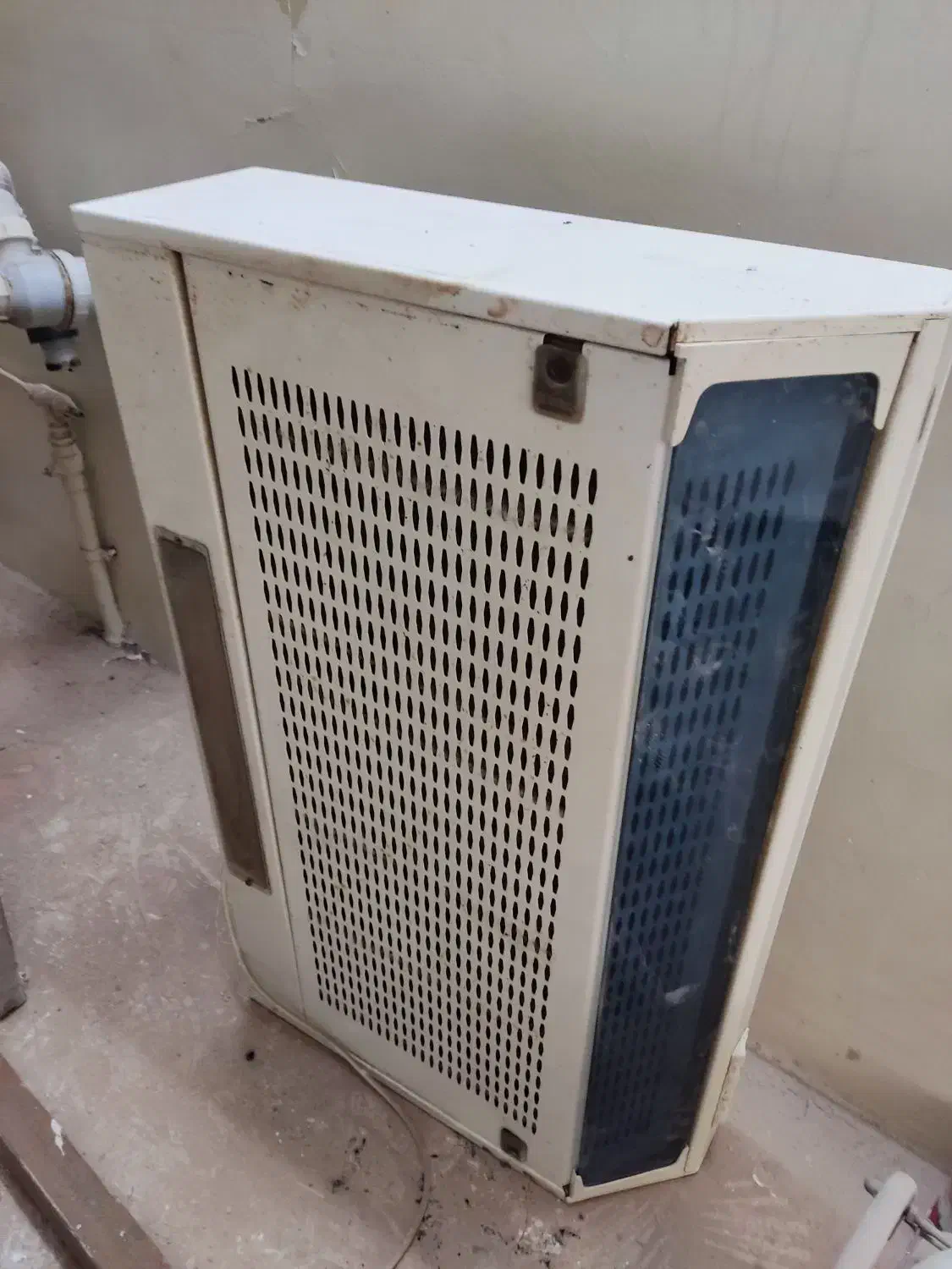 هود|هود|مشهد, شیرودی|دیوار