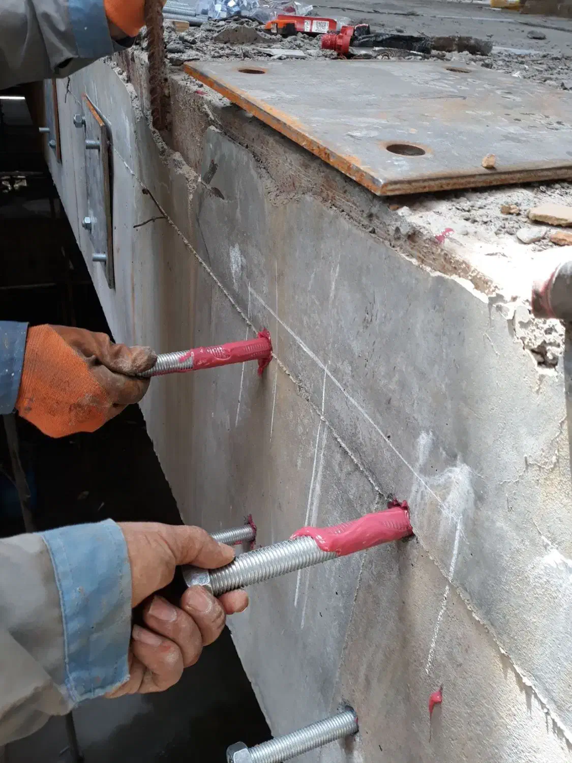 کاشت تخصصی انواع بلت ومیلگرد|خدمات پیشه و مهارت|مشهد, بهمن|دیوار