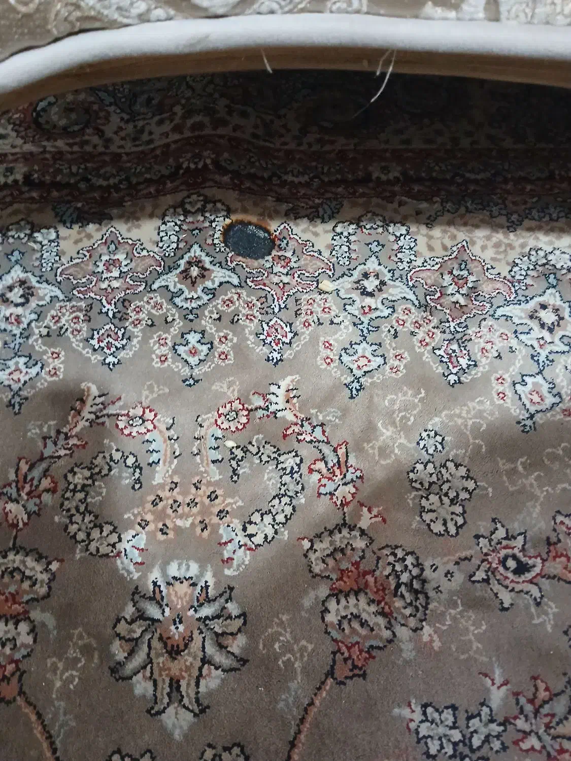 فرش 6متری فروش فوری|فرش|بومهن, |دیوار