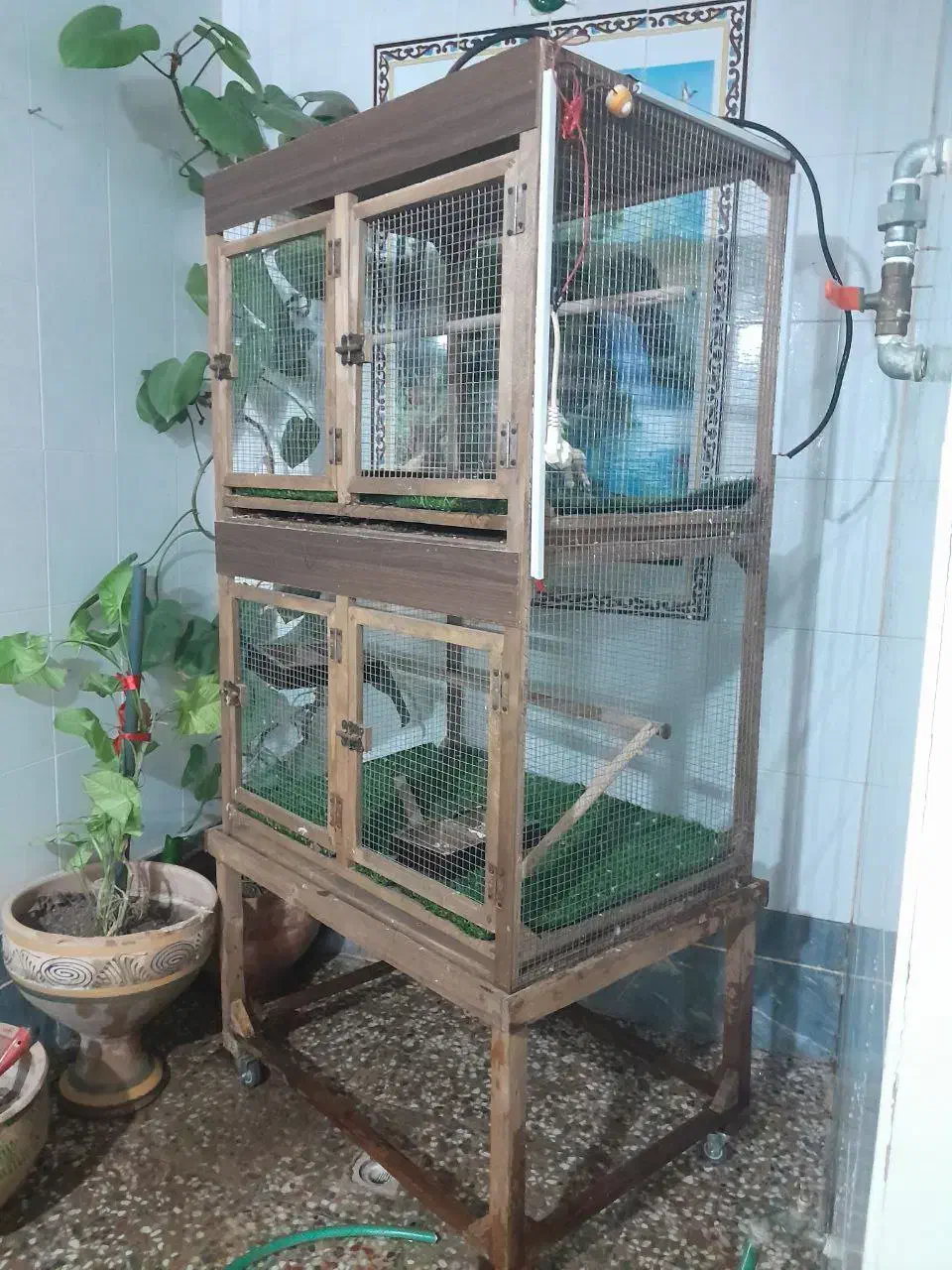 فقس پرنده|لوازم جانبی حیوانات|شیراز, حجت آباد|دیوار