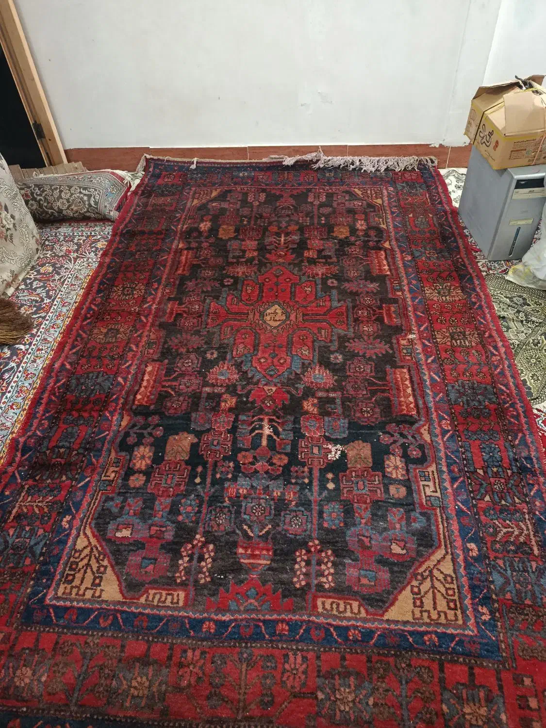 فرش دستباف قشقایی ۶ متری پشم دست ریس|فرش|خرم‌آباد, |دیوار