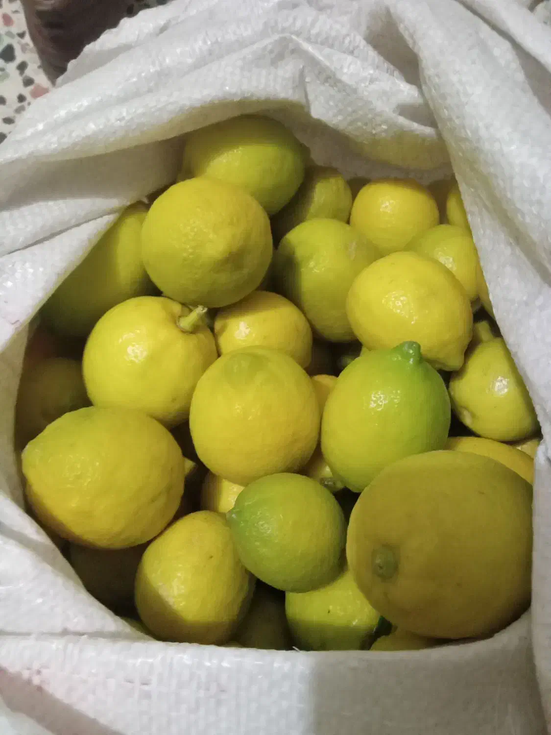 لیمو سنگی|خوردنی و آشامیدنی|ایذه, |دیوار