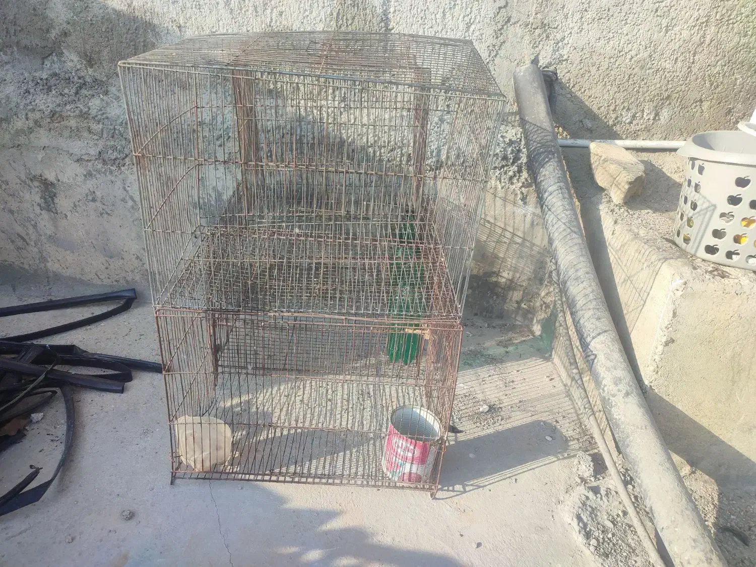 کبوتر 4عدد کفس|پرنده|قیروکارزین, |دیوار