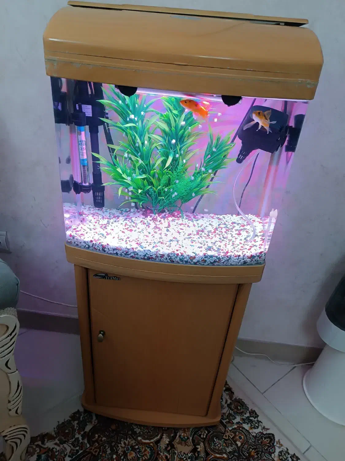 اکواریوم شرکتی|ماهی|تهران, هفده شهریور|دیوار