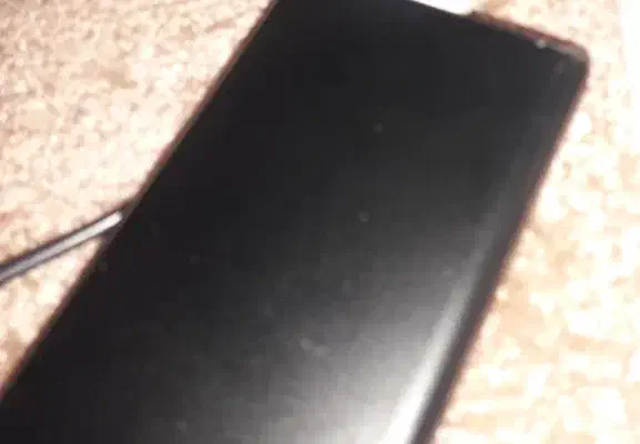 گم شدن مدارک و کیف|اشیا|یزد, |دیوار