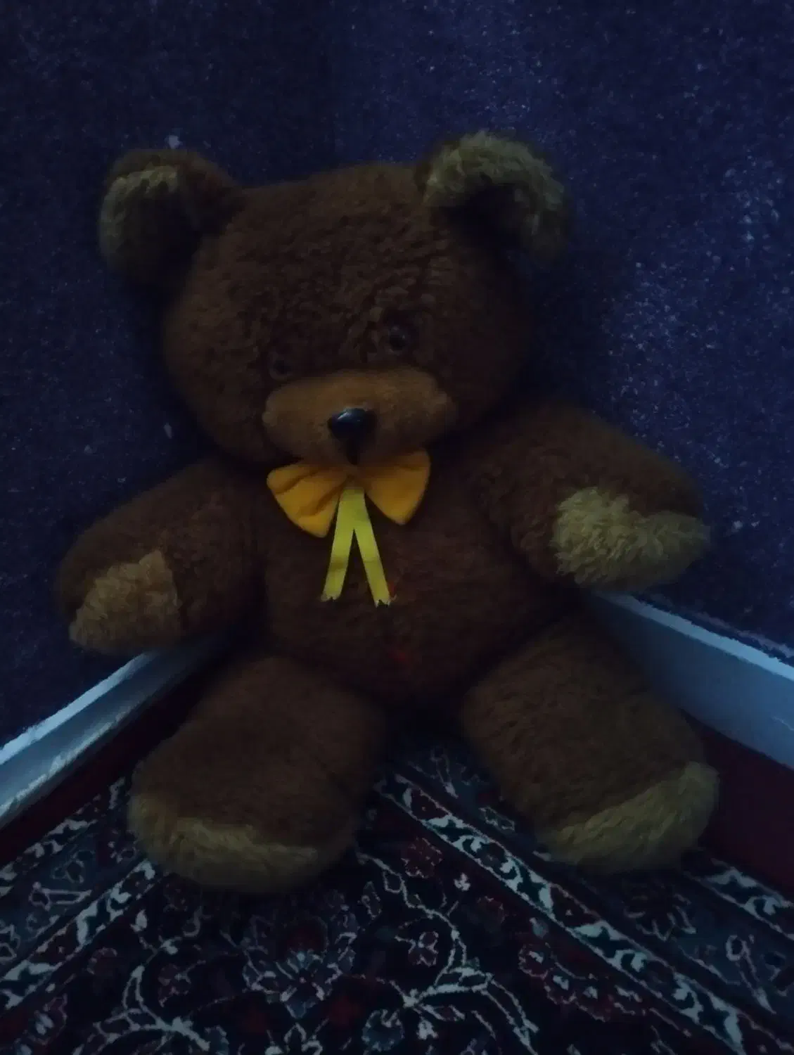 شاسخین|اسباب‌بازی بچه|شاهین‌شهر, طالقانی|دیوار