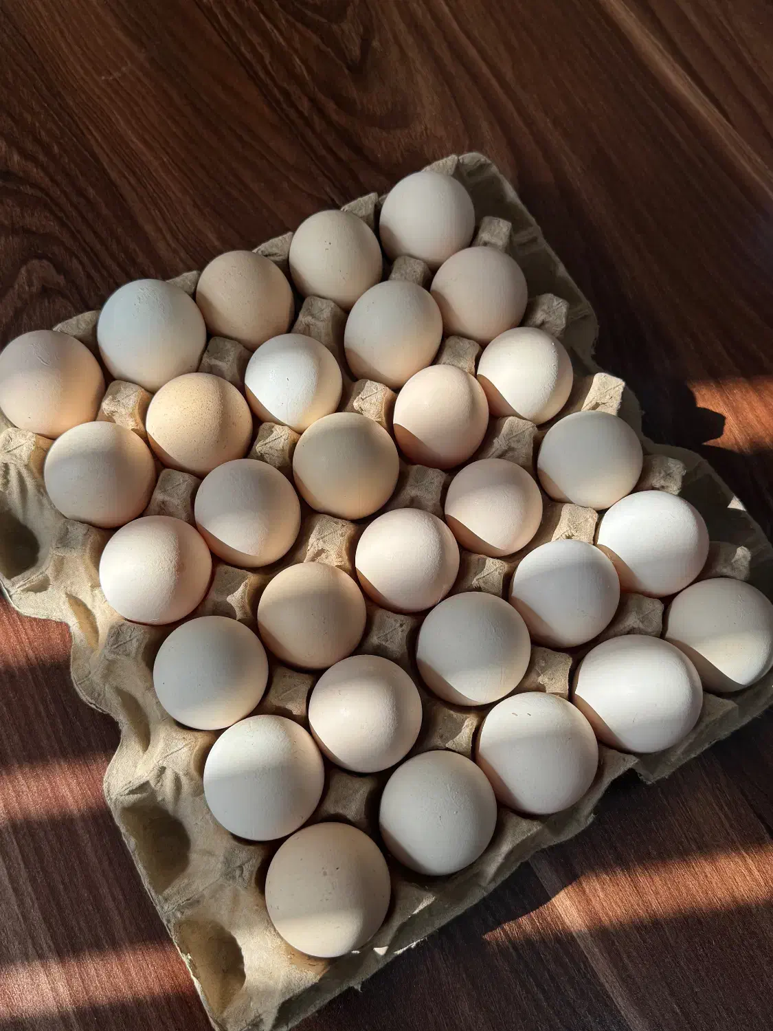 پخش تخم‌مرغ محلی شونه ۳۰ تایی|خوردنی و آشامیدنی|کرج, گلشهر|دیوار