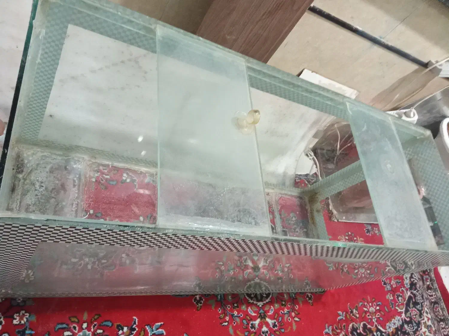 آکواریوم کاملا سالم|ماهی|اصفهان, کوی شهید کشوری|دیوار