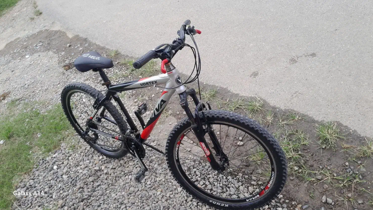 دوچرخه ۲۶ ویوا|دوچرخه، اسکیت، اسکوتر|صومعه‌سرا, |دیوار