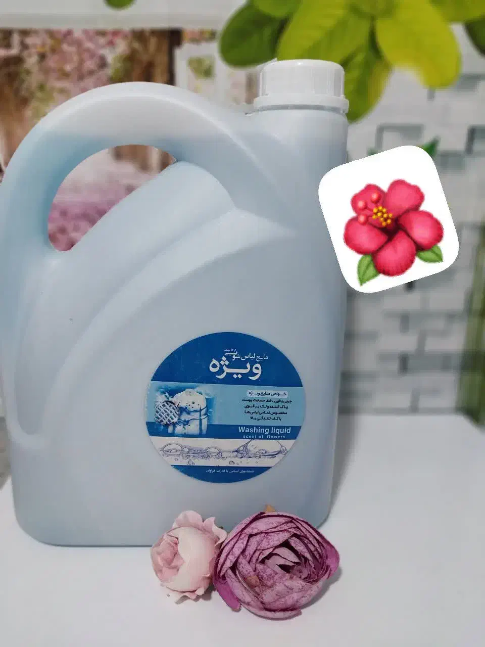 انواع شوینده گیاهی|مواد شوینده و دستمال کاغذی|همدان, |دیوار