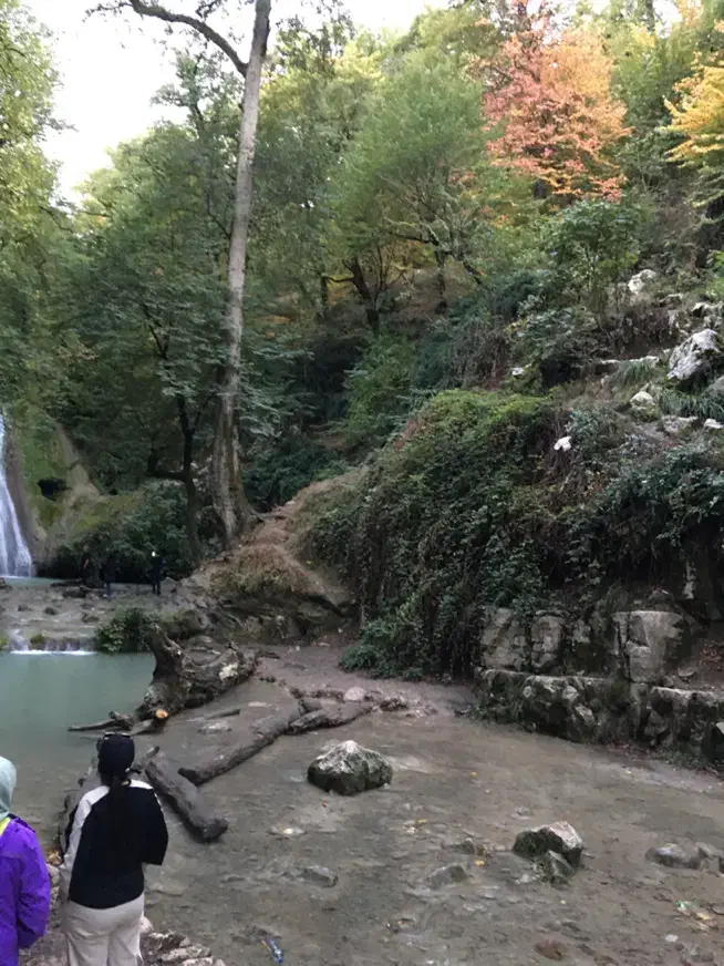 تمیز نظیف مرتب|خدمات نظافت|گنبد کاووس, |دیوار