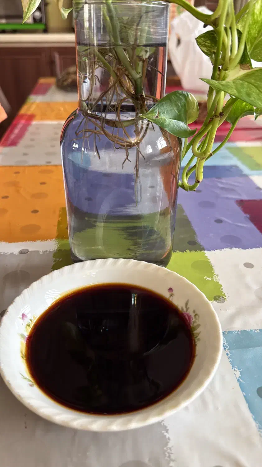 دوشاب خالص|خوردنی و آشامیدنی|تبریز, |دیوار