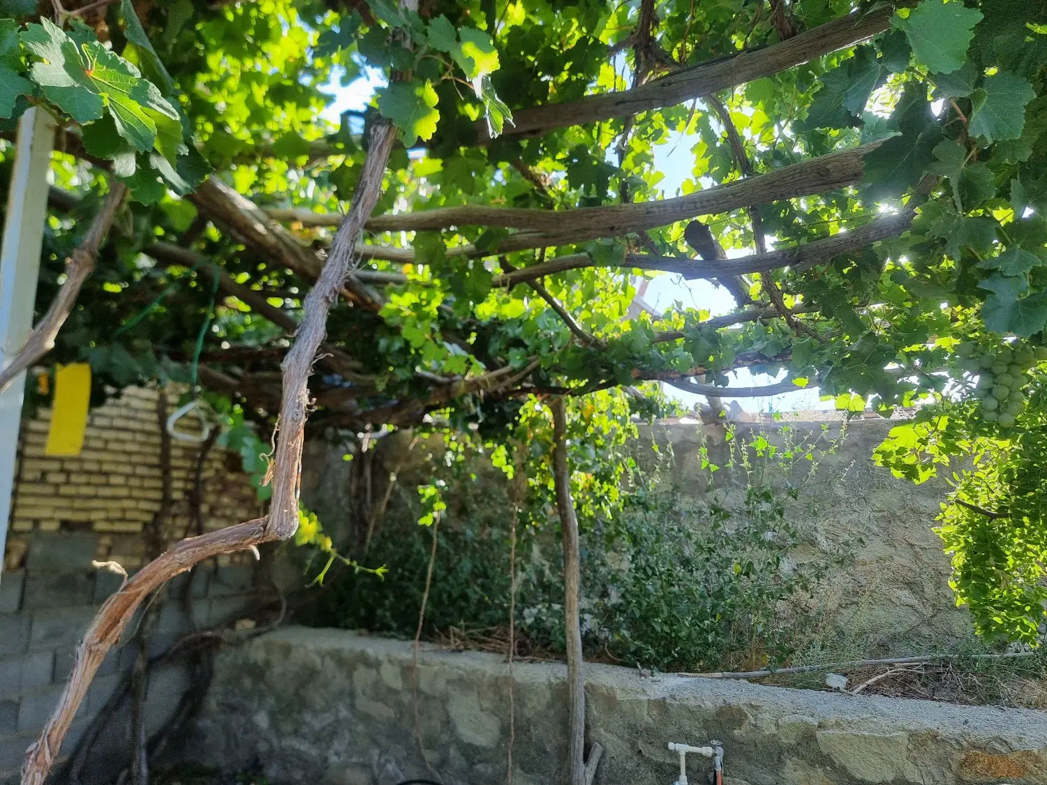 تصویر 13