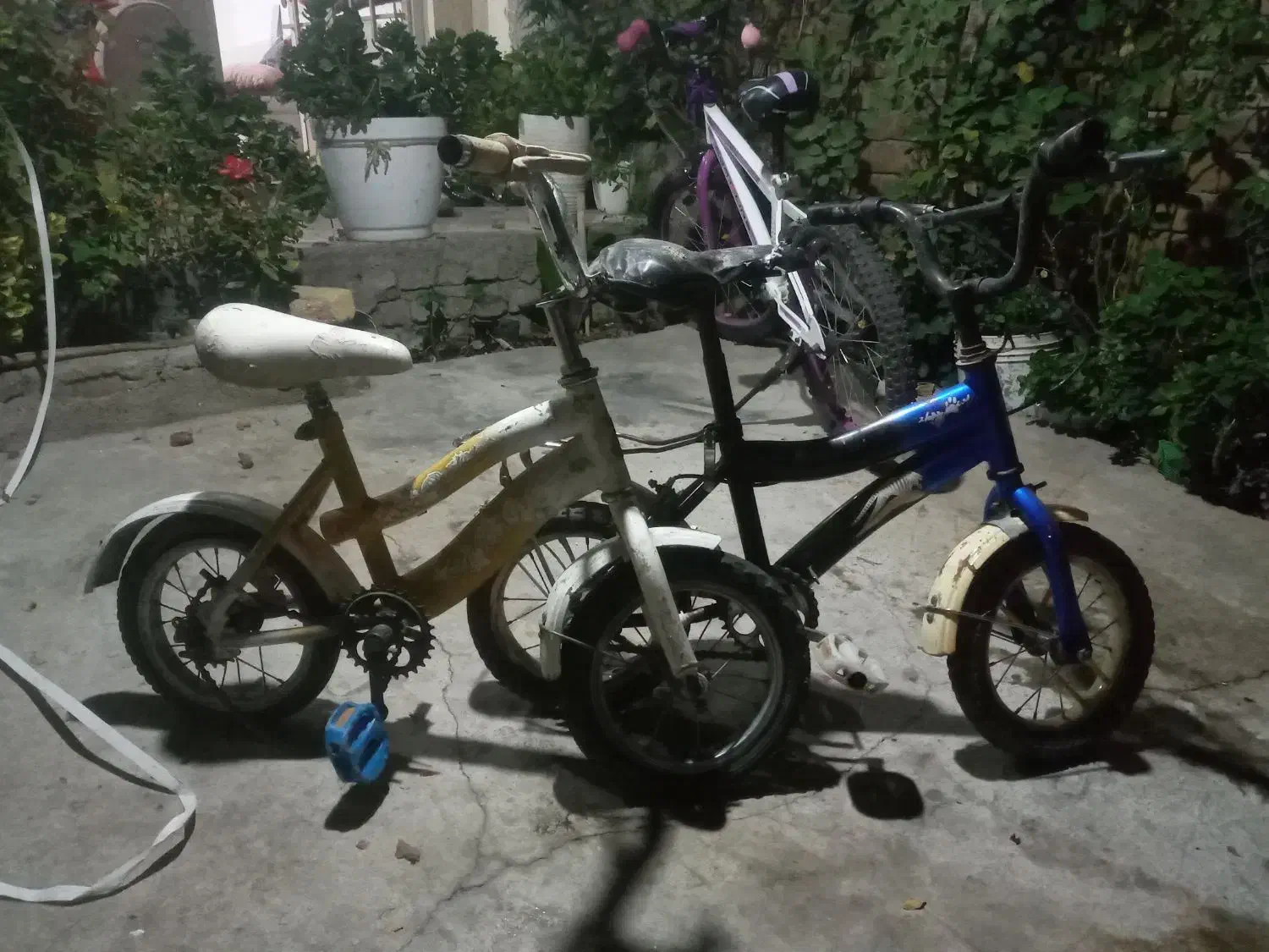 دوچرخه ۱۲ ۲ عدد|دوچرخه، اسکیت، اسکوتر|بروجرد, |دیوار