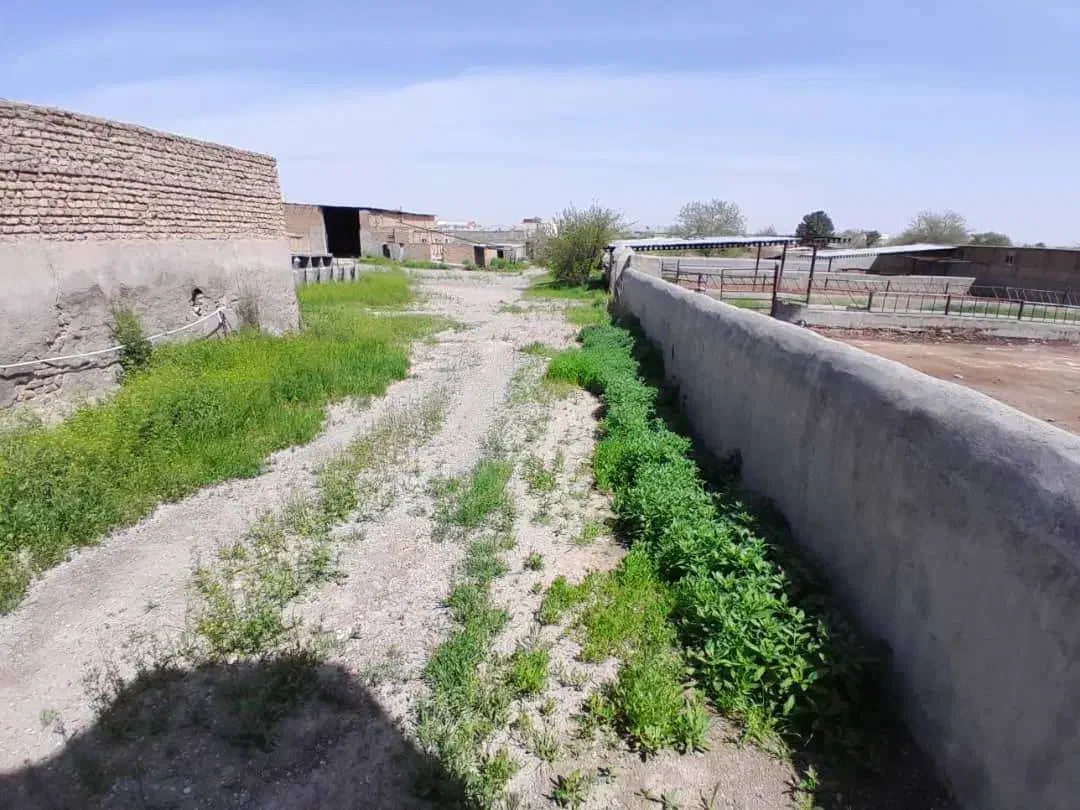 سالن 300 متری 1000 متر محوطه حاشیه جاده فریمان|اجارهٔ دفتر صنعتی، کشاورزی، تجاری|مشهد, طرق|دیوار