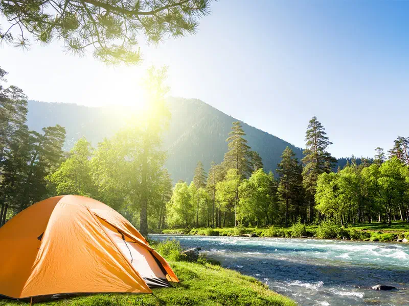 استخدام نیروی خانم جهت همکاری درتورگردشگری|استخدام بازاریابی و فروش|دوگنبدان, |دیوار