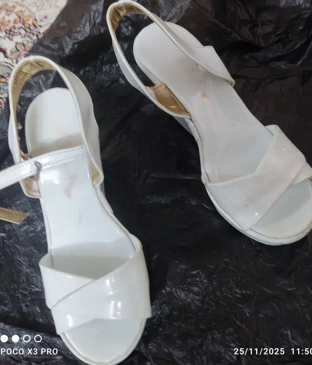 کفش مجلسی و بوت|کیف، کفش، کمربند|قم, باجک یک|دیوار