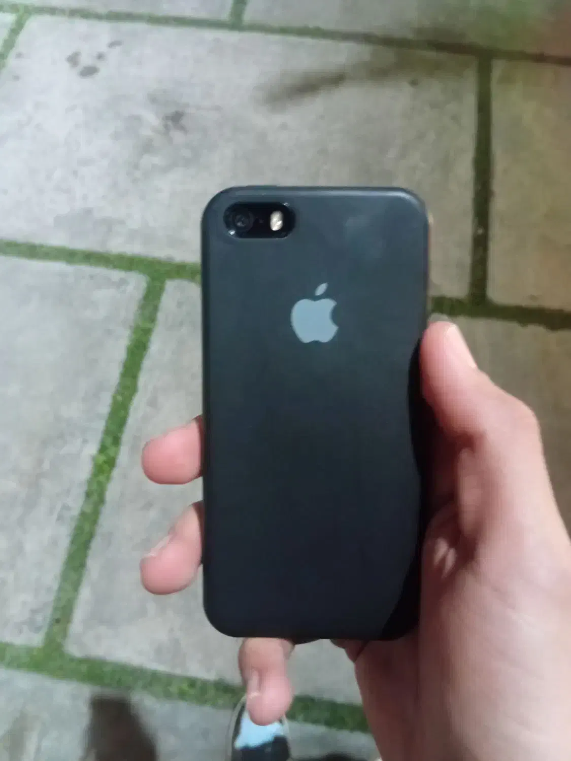 ایفون 5s|موبایل|چالوس, |دیوار