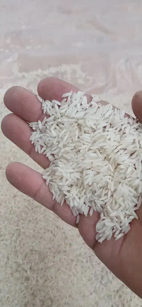 برنج طارم هاشمی اصیل محمودآباد|خوردنی و آشامیدنی|تهران, بوستان سرخه حصار|دیوار