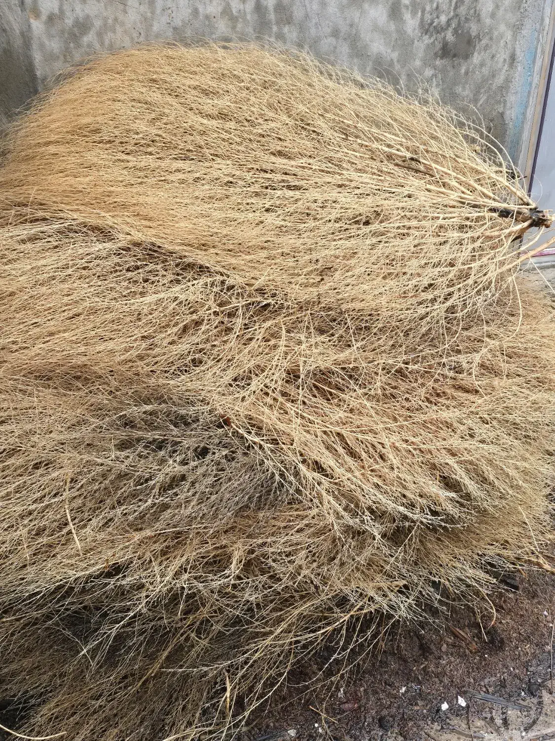 گسک|لوازم نظافت|مریوان, |دیوار