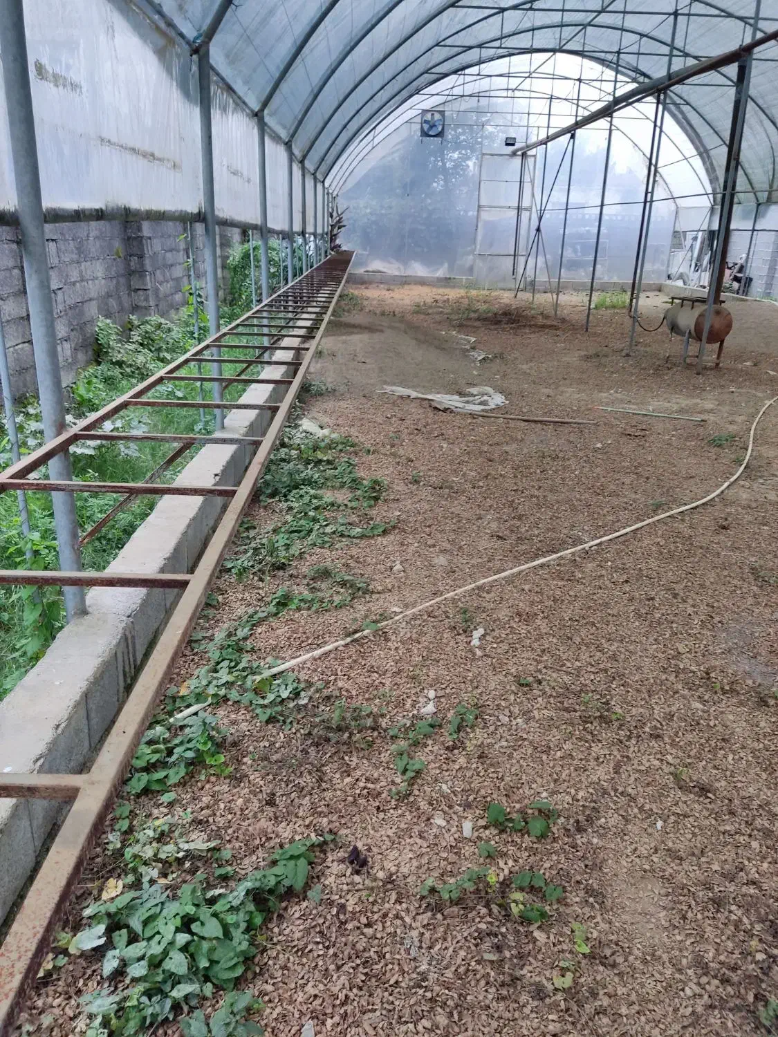 فروش سازه گلخانه با تجهیزات|فروش دفتر صنعتی، کشاورزی، تجاری|رشت, آتشگاه|دیوار