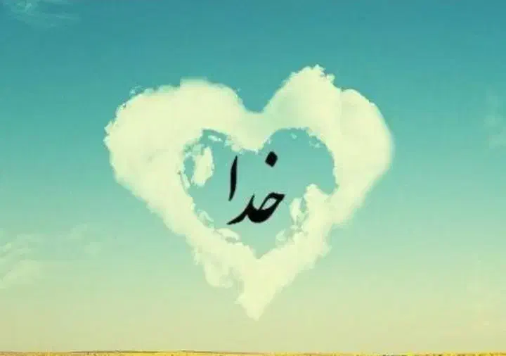 اجتماعی|فعالیت داوطلبانه|کرمان, |دیوار