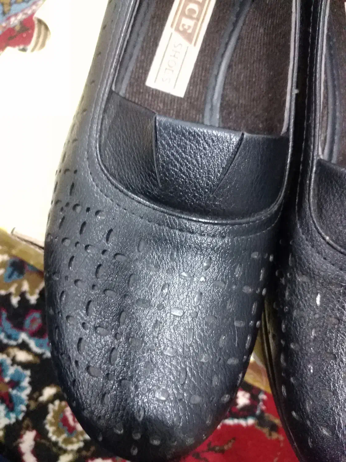 کفش سایز 41|کیف، کفش، کمربند|زنجان, |دیوار