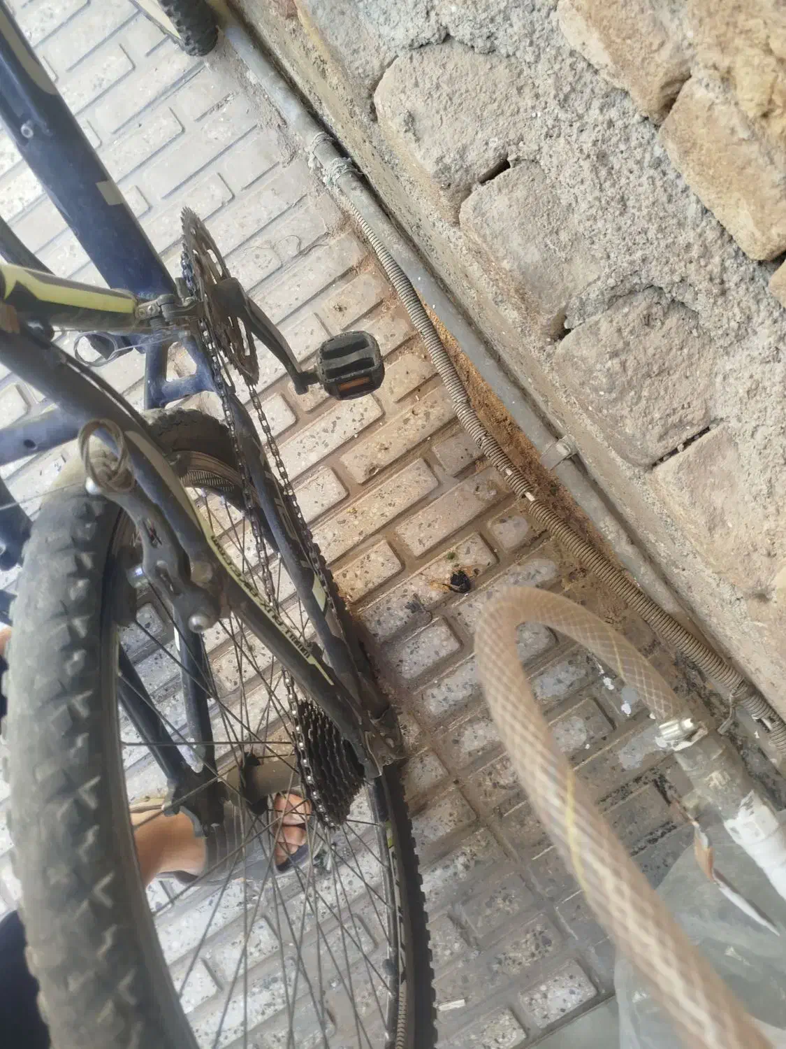 دوچرخه ۲۶|دوچرخه، اسکیت، اسکوتر|قصرشیرین, |دیوار