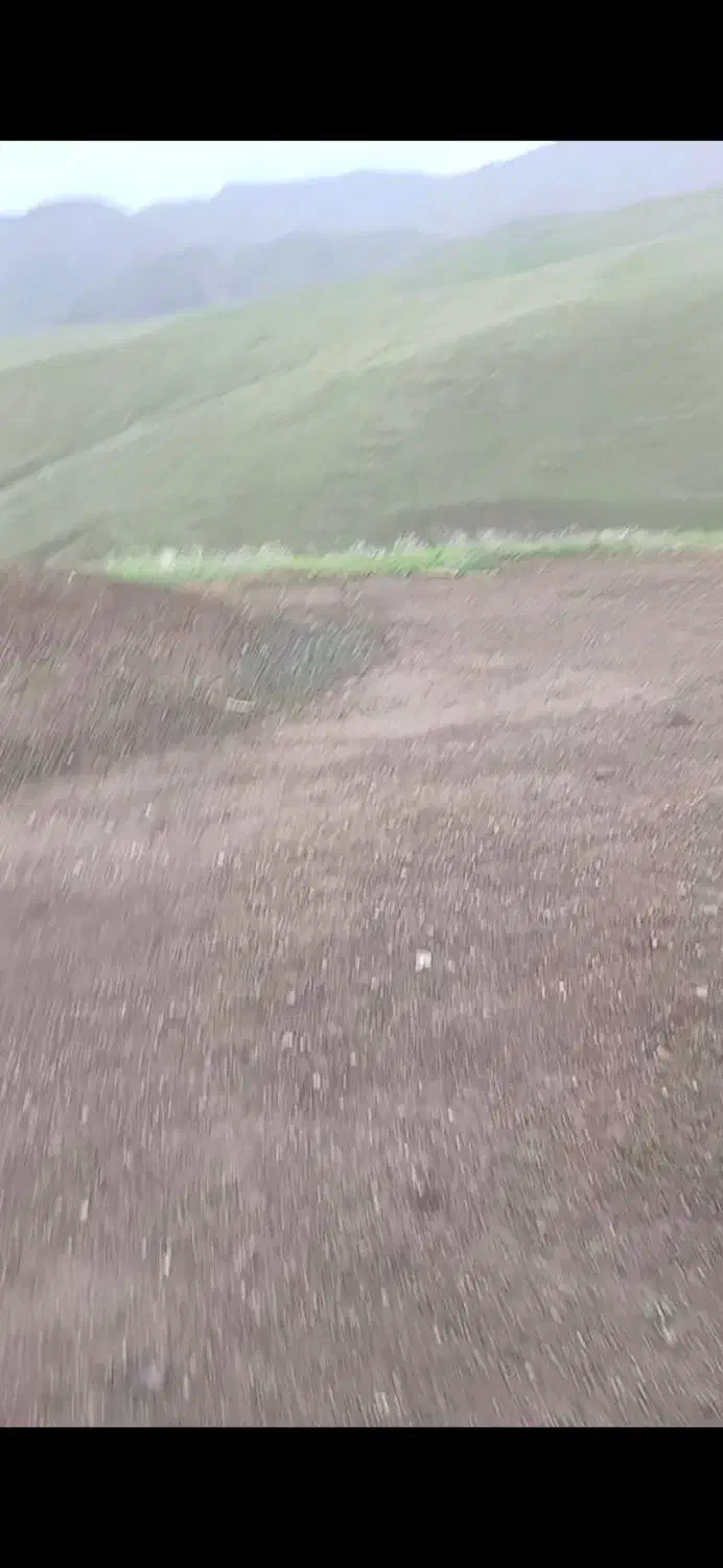 کود دامی برای باغ|گل و گیاه طبیعی|هریس, |دیوار