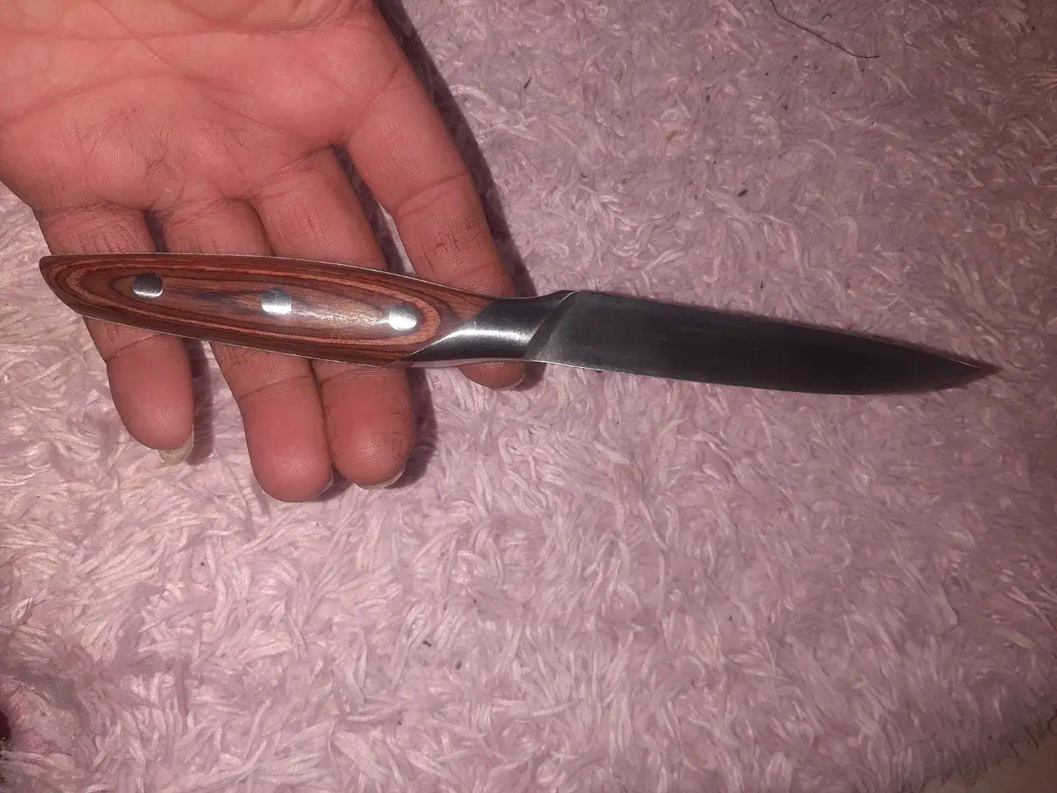 چاقوی موکا اصل|ظروف پختوپز|تهران, شهرک ولیعصر جنوبی|دیوار